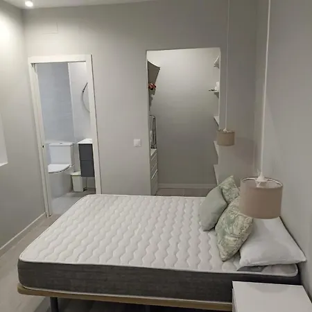 Calle Concepcion Pleno Centro דירה *