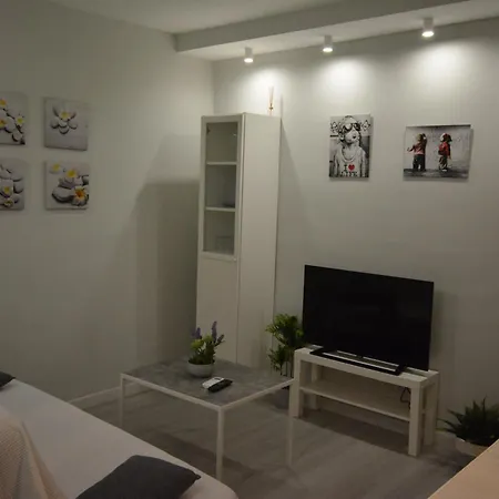 Calle Concepcion Pleno Centro Apartment