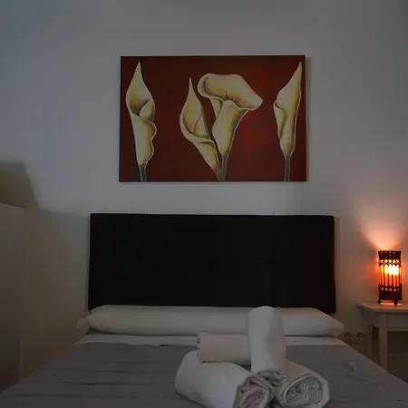 Apartment Calle Concepcion Pleno Centro *