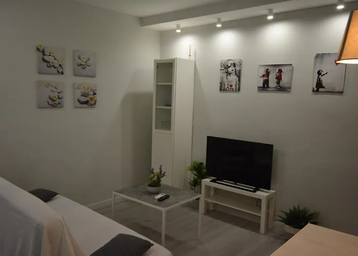 Calle Concepcion Pleno Centro דירה