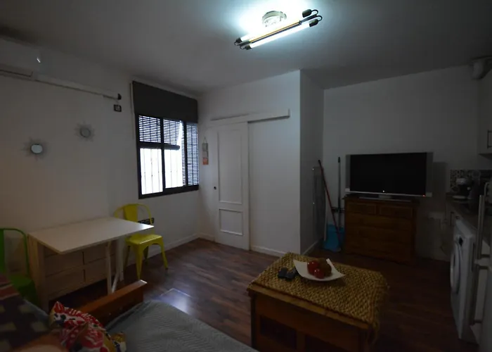 Calle Concepcion Pleno Centro דירה *